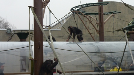 旭山動物園_b0198696_00433989.jpg