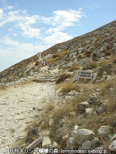 c0010496_21404845.jpg