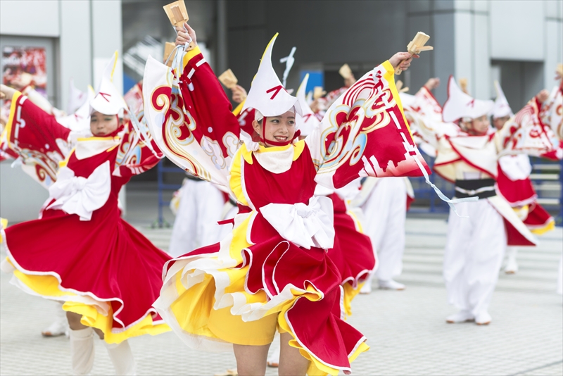 2014 ドリーム夜さ来い 勇舞会_a0296897_012072.jpg