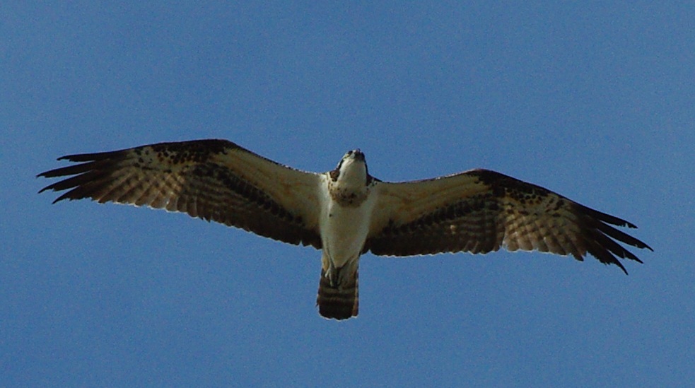 b0028598_19572781.jpg