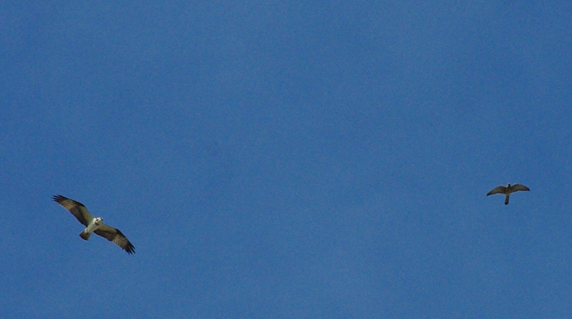 b0028598_19583991.jpg