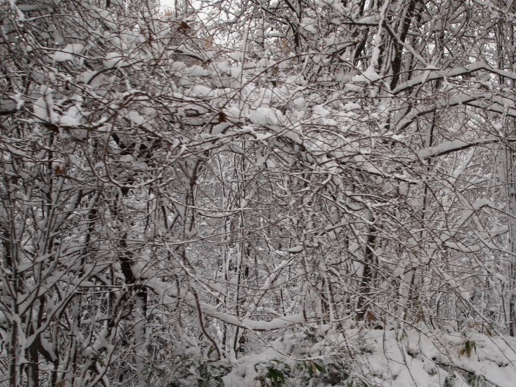 f0236201_10101886.jpg