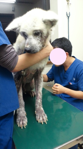 あおばの家族探し_f0242002_2344386.jpg