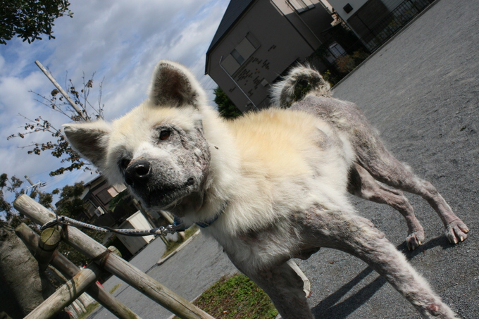 あおばの家族探し_f0242002_2422650.jpg