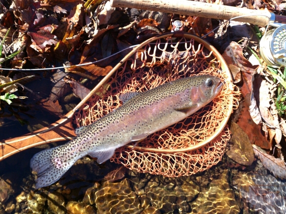f0266202_19263029.jpg