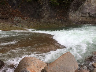f0164003_11402525.jpg