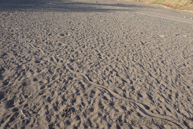 e0183106_2135477.jpg