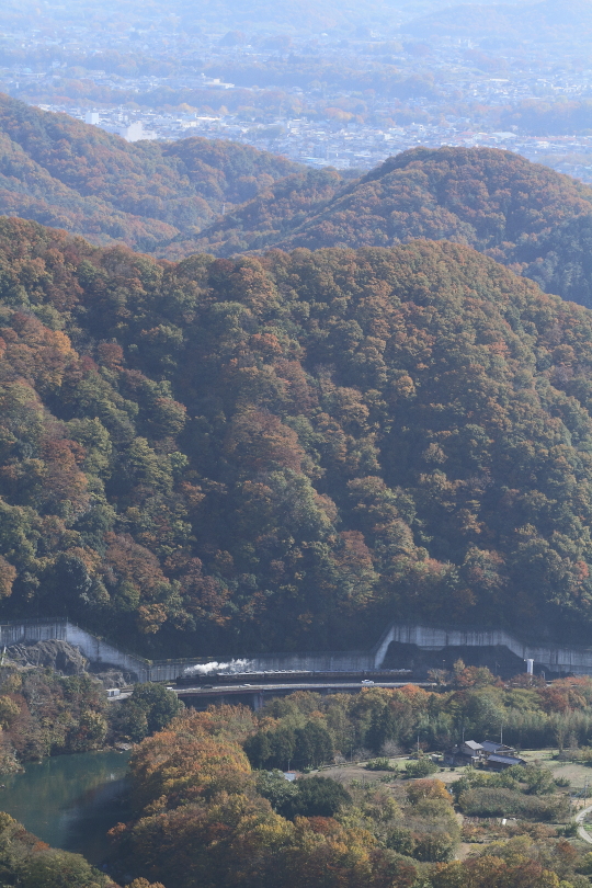 紅葉の玉淀を白煙が走る - 2013年秋・秩父 - _b0190710_23364112.jpg