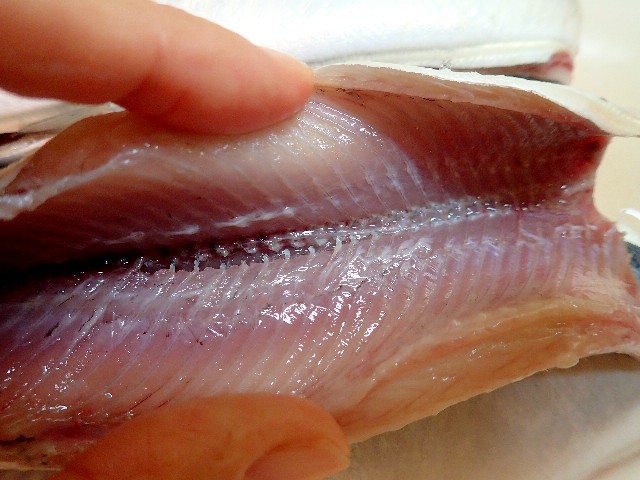 秋刀魚料理あれこれ 楽子の小さなことが楽しい毎日