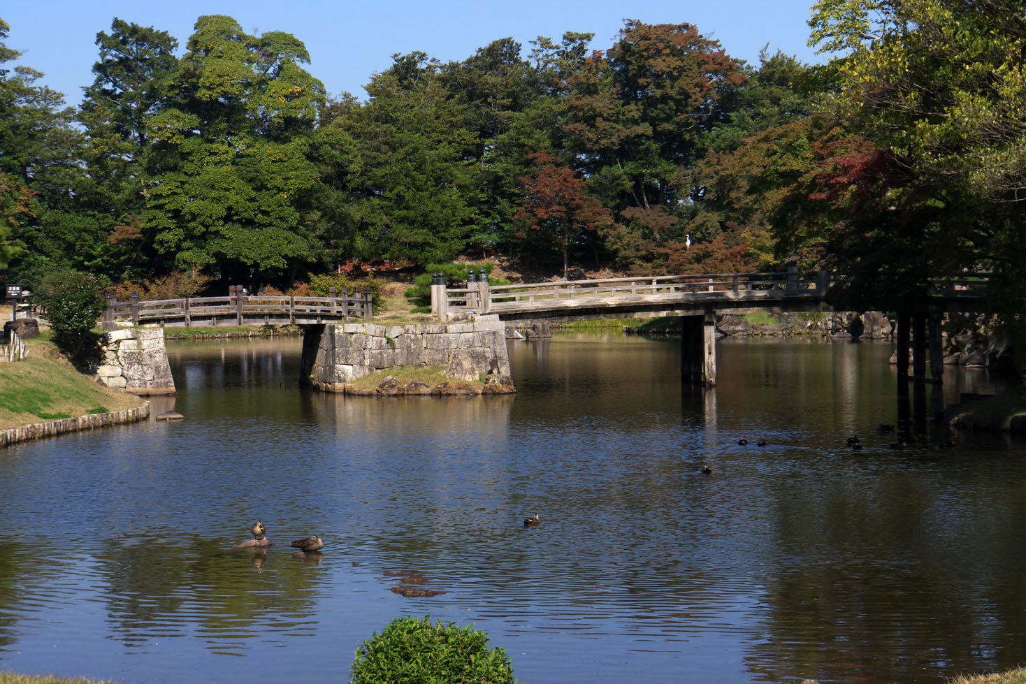 京都・滋賀旅行（彦根）_d0085413_21273432.jpg