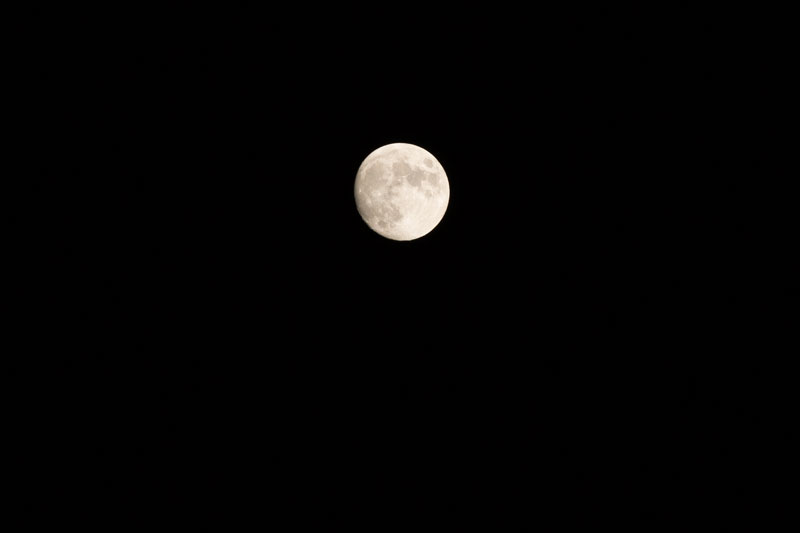 a0278914_5581433.jpg