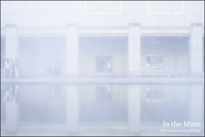 霧の中_f0100215_21354212.jpg