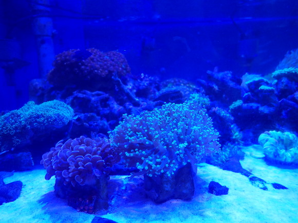 a0315918_20541081.jpg