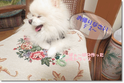 b0167519_20593327.gif
