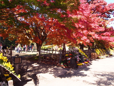 b0147224_20305412.jpg