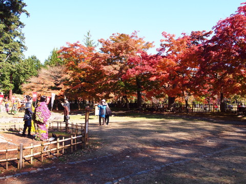 b0147224_20362564.jpg