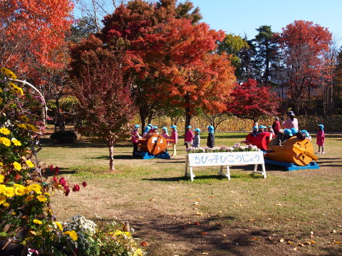 b0147224_2037228.jpg