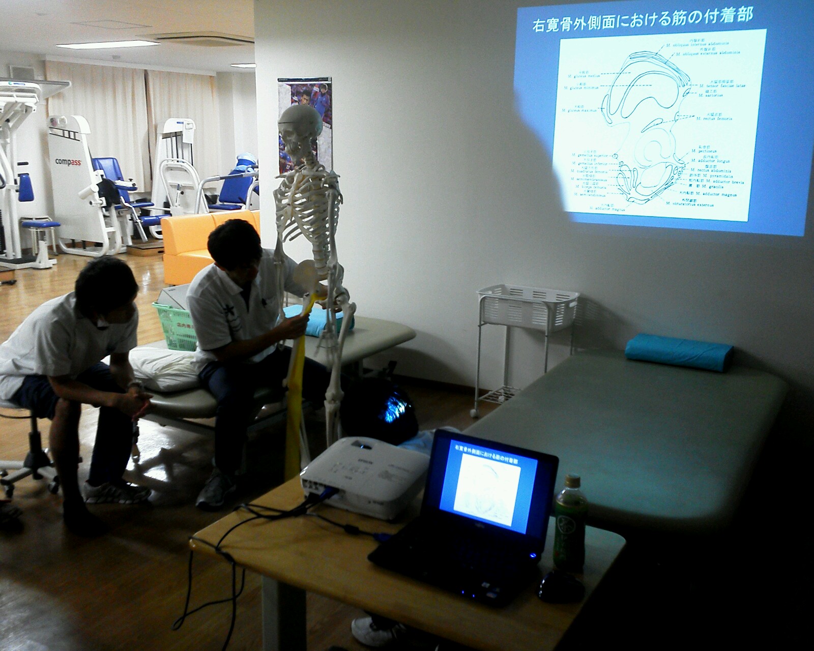 第19回 体表解剖勉強会【長内転筋/大内転筋】_b0329026_22533233.jpg