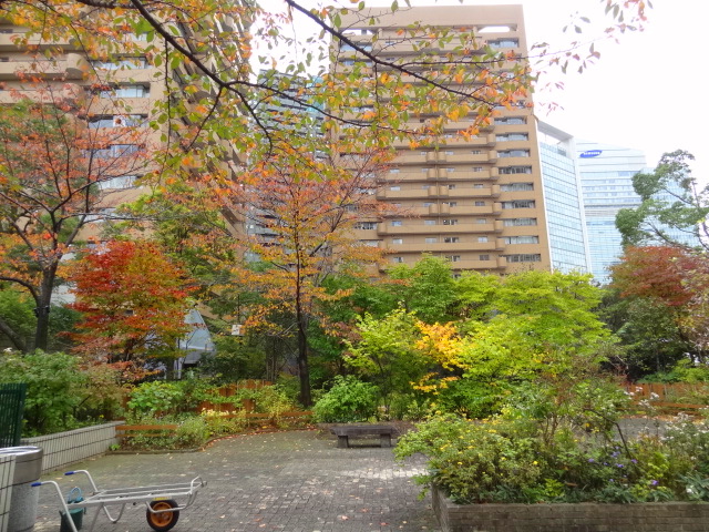 e0016828_15512050.jpg