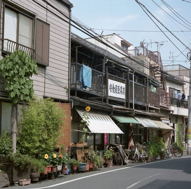 大塚秀樹さん 展覧会「体温の箱庭」_b0187229_16291249.jpg