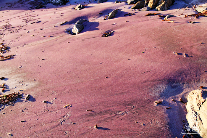 389 Pfeiffer Beach ~ガーネットの砂浜の穴場~_c0211532_2332024.jpg