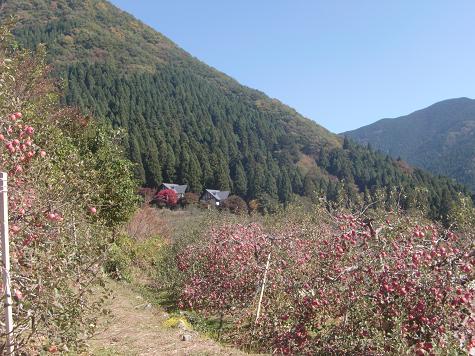 b0137933_23524991.jpg