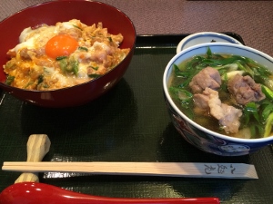 京都へ遠足 Parte 2 アートアクアリウム_a0059035_19441344.jpg