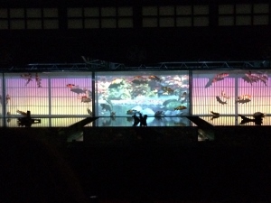 京都へ遠足 Parte 2 アートアクアリウム_a0059035_19504229.jpg