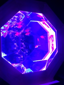 京都へ遠足 Parte 2 アートアクアリウム_a0059035_19510904.jpg