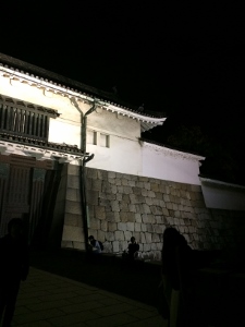 京都へ遠足 Parte 2 アートアクアリウム_a0059035_19512335.jpg