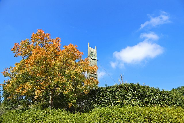 a0242438_18325230.jpg