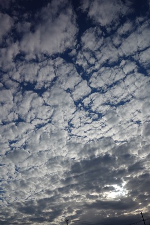 b0169238_2115344.jpg