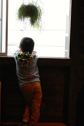 c0153740_919041.jpg