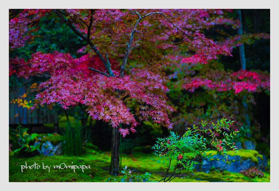 １１月０６日　山中温泉紅葉の下見_f0350240_22334686.jpg