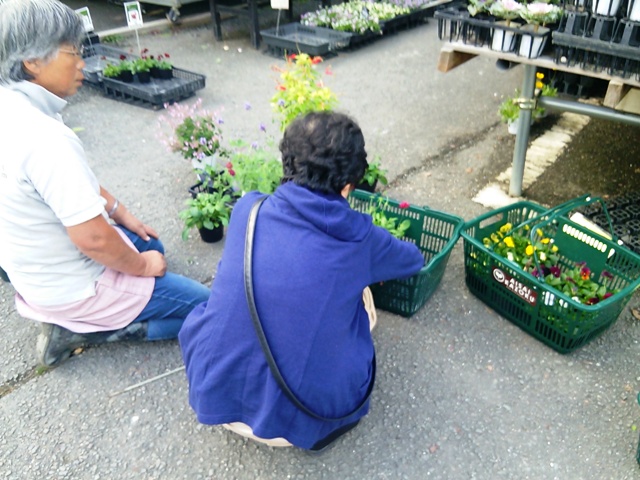f0177841_2044579.jpg
