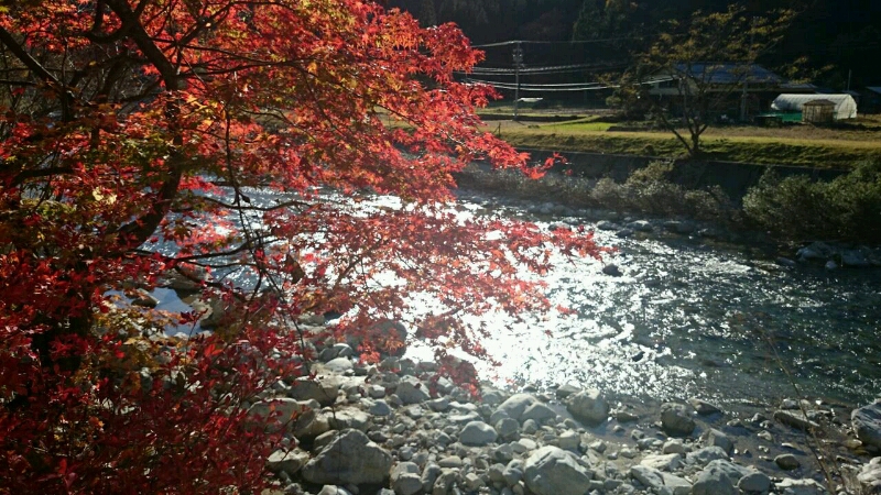 c0295742_21455773.jpg