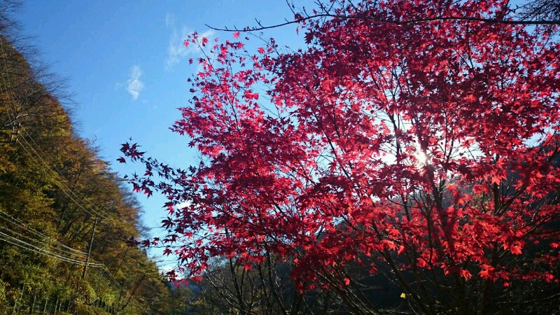 c0295742_21472911.jpg