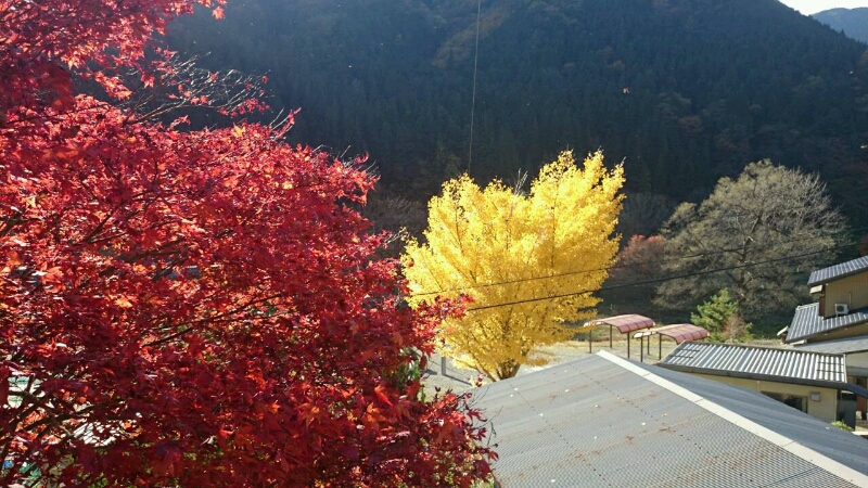 c0295742_21493385.jpg