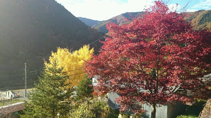 c0295742_21505159.jpg