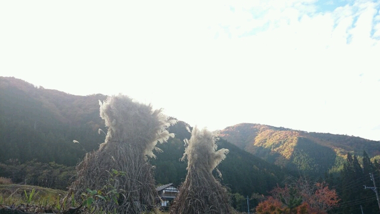 c0295742_21552221.jpg