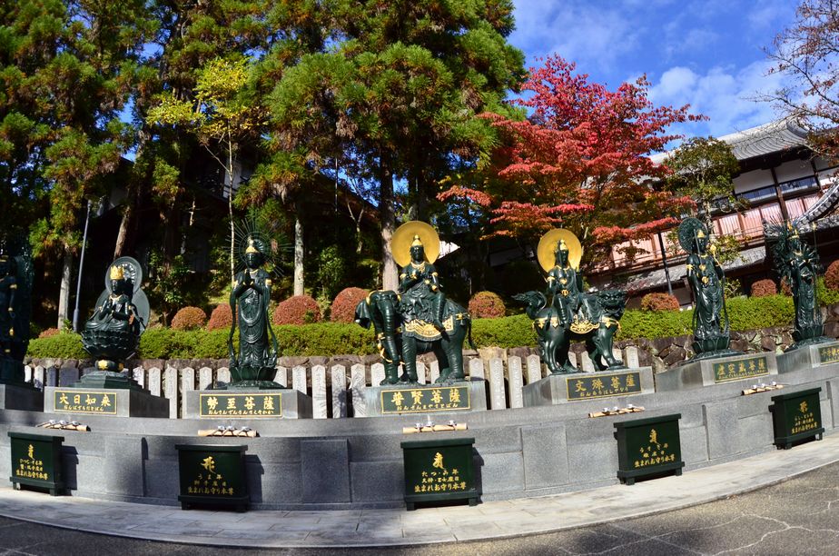 11月6日（くもり時々晴れ）ﾀｲﾄﾙ：霊山寺の薔薇庭園_f0105542_14184359.jpg