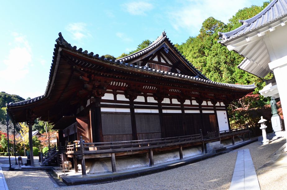 11月6日（くもり時々晴れ）ﾀｲﾄﾙ：霊山寺の薔薇庭園_f0105542_14191320.jpg