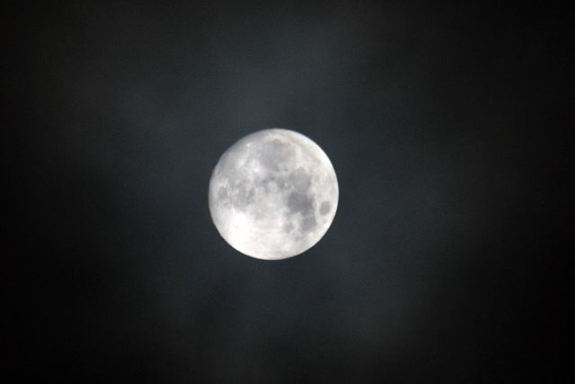 d0247247_21532514.jpg