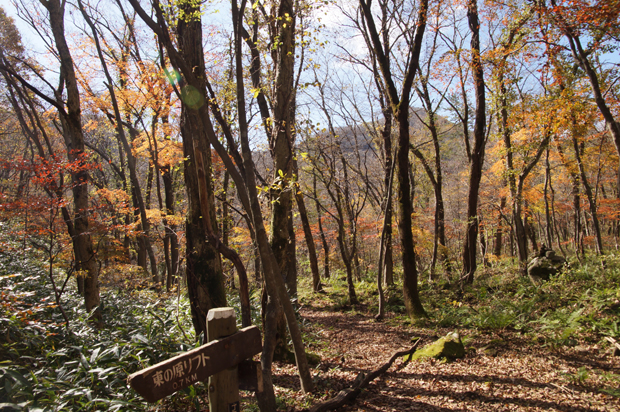 紅葉の三瓶山②_f0214649_1743294.jpg