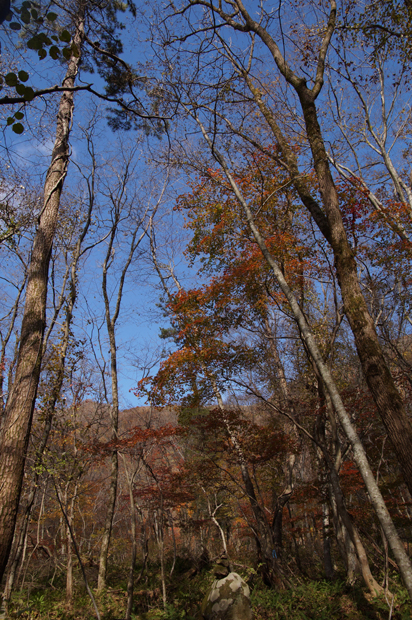 紅葉の三瓶山②_f0214649_17442620.jpg