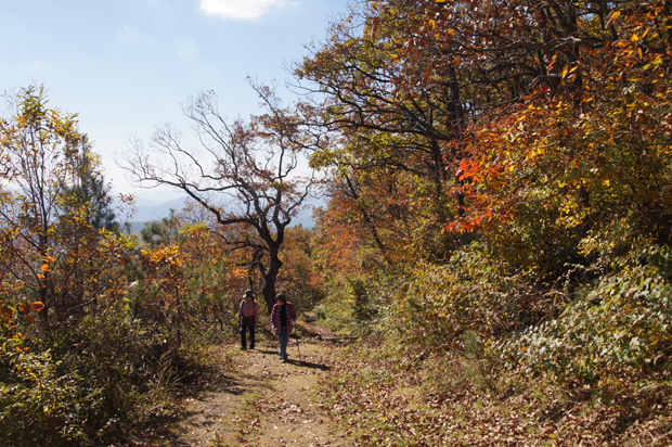 紅葉の三瓶山①_f0214649_2342397.jpg