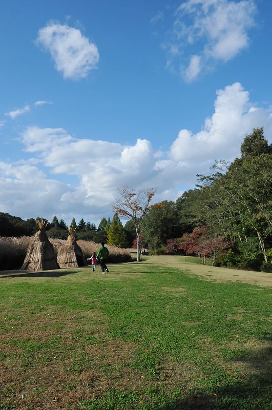 三木山森林公園_c0334250_21151583.jpg