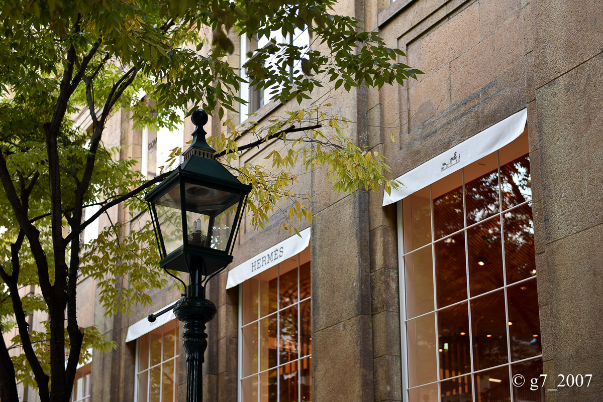 f0152550_23113899.jpg