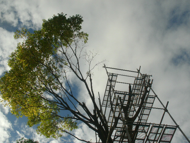 e0036151_232437.jpg