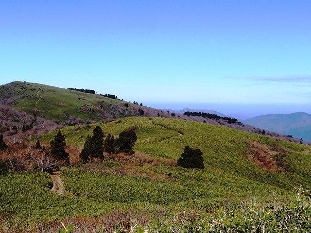 b0227552_19252882.jpg